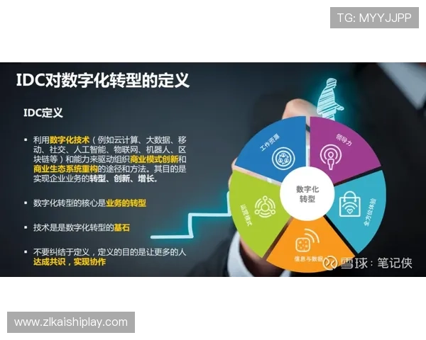 探索尊龙会官网会员登录网址查询的最佳途径与技巧 探索尊龙会官网会员登录网址查询的最佳途径与技巧