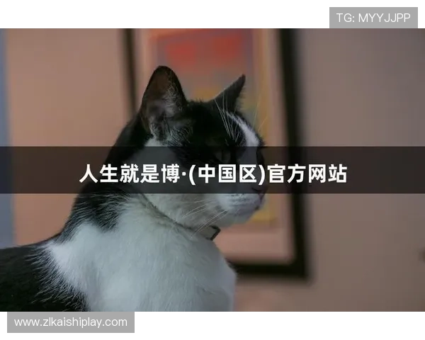 凯时人生就是博怎么样分析游戏界面设计与用户操作体验的优劣 凯时人生就是博怎么样分析游戏界面设计与用户操作体验的优劣